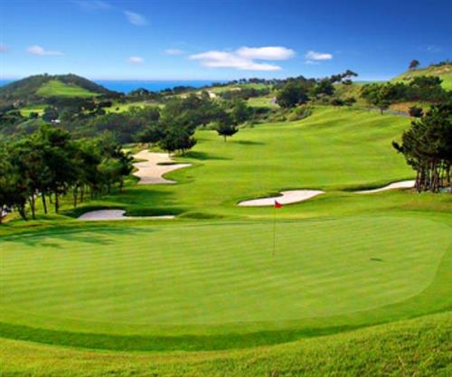 菁將盃金陵古都賞楓賽（9.10月）